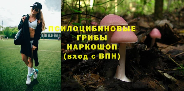 скорость Алексин